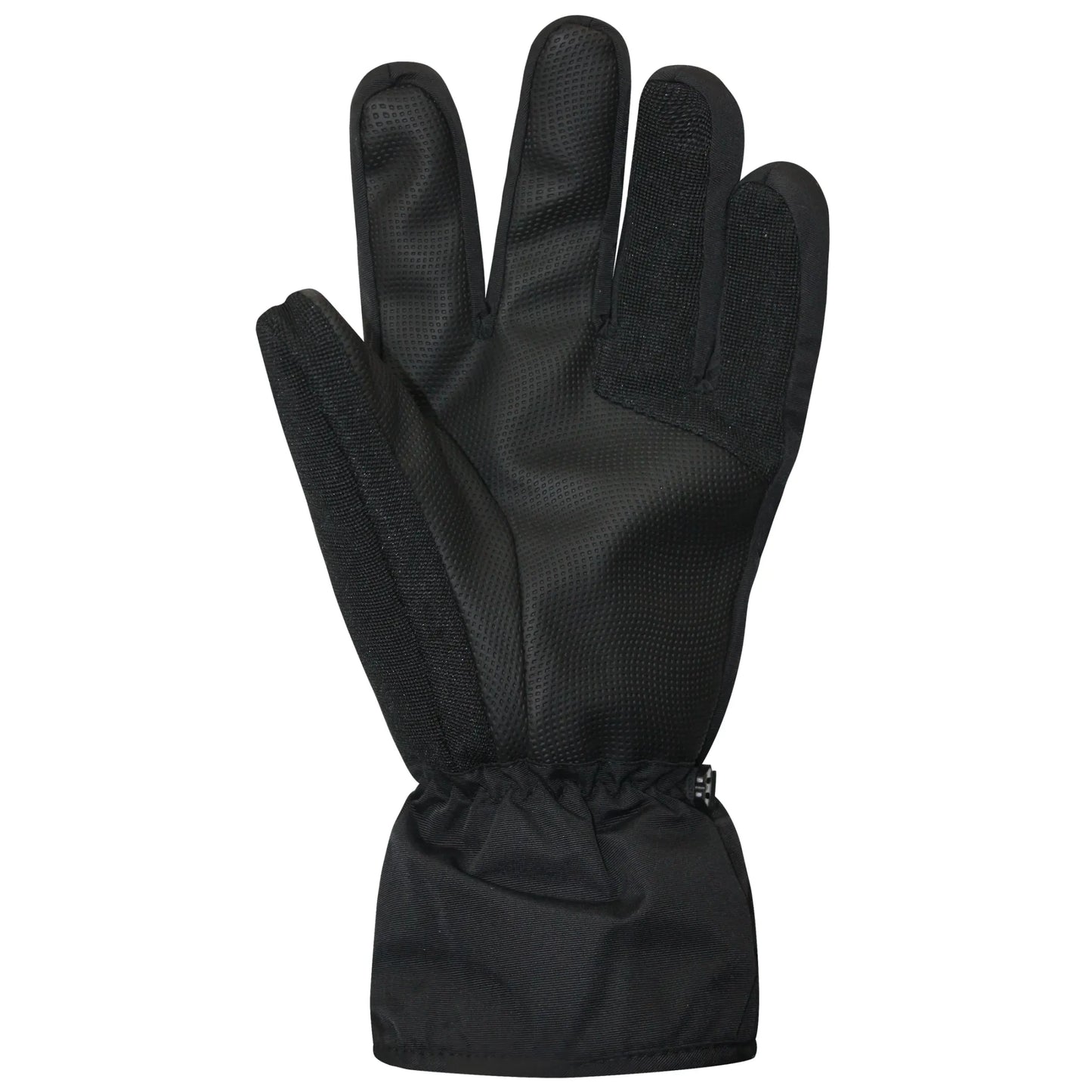 Auclair Men's Horizon Ski Gloves