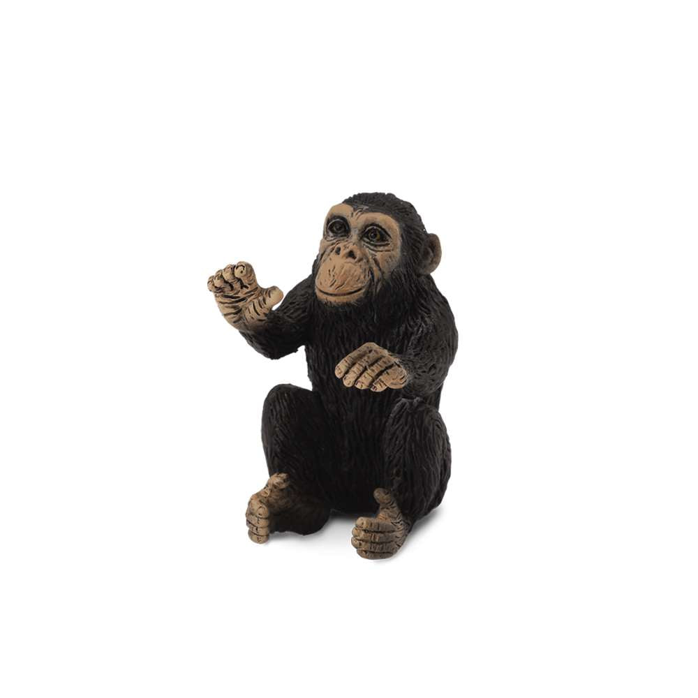 Chimpanzee Cub Hugging