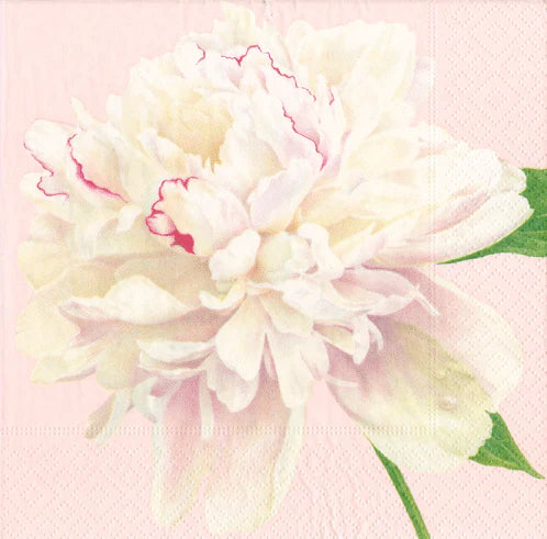 Duchess Peonies Blush Dinner Napkins Caspari