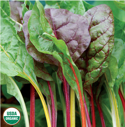 Leafy Greens Seeds