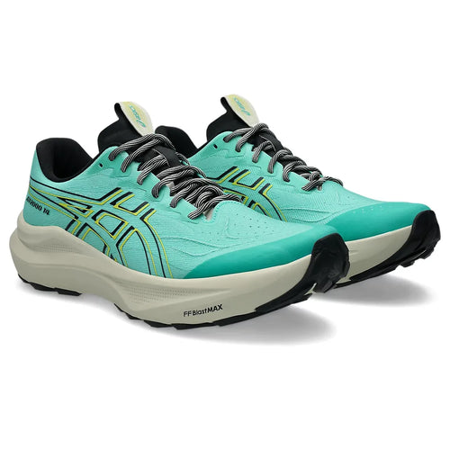 Asics Men's GT-2000 14 TR Trail Running Shoes