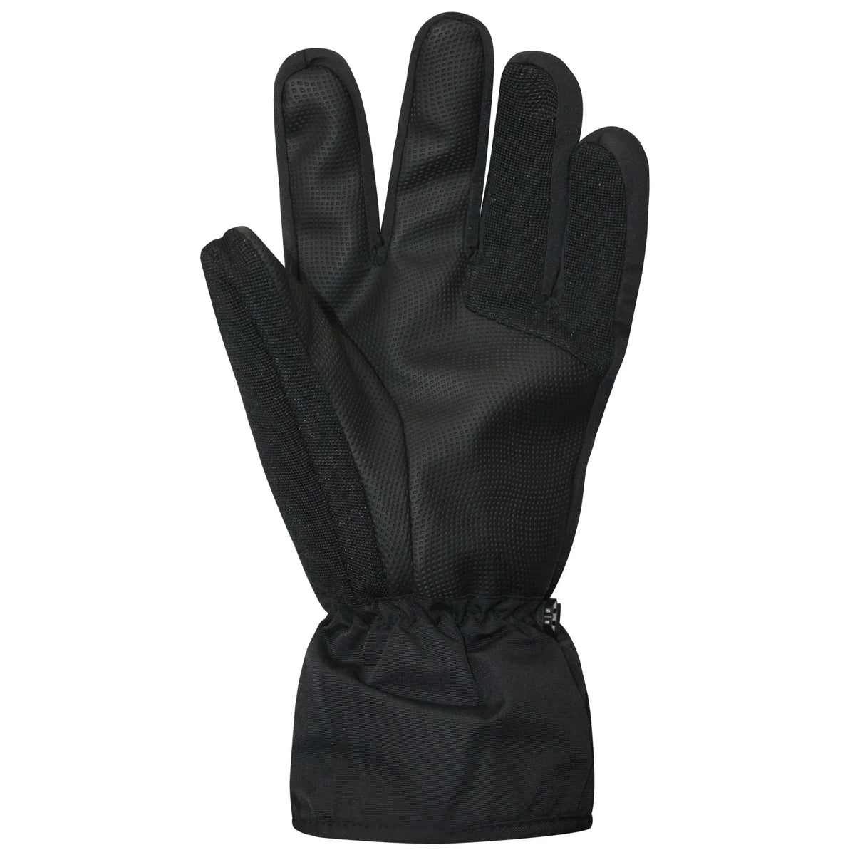 Auclair Men's Horizon Ski Gloves