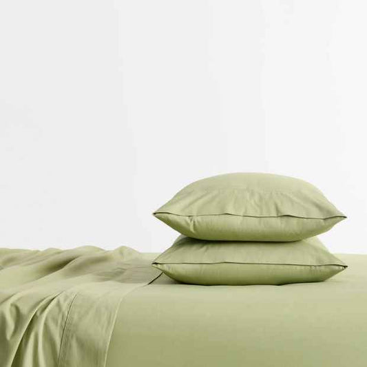 250 Thread Count Australian Cotton 2 Pack Standard Pillowcasses - Sage