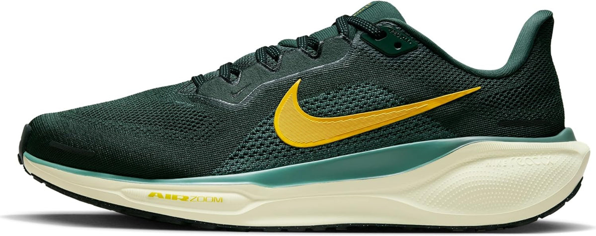 NIKE Men's Pegasus 41