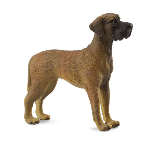 Great Dane