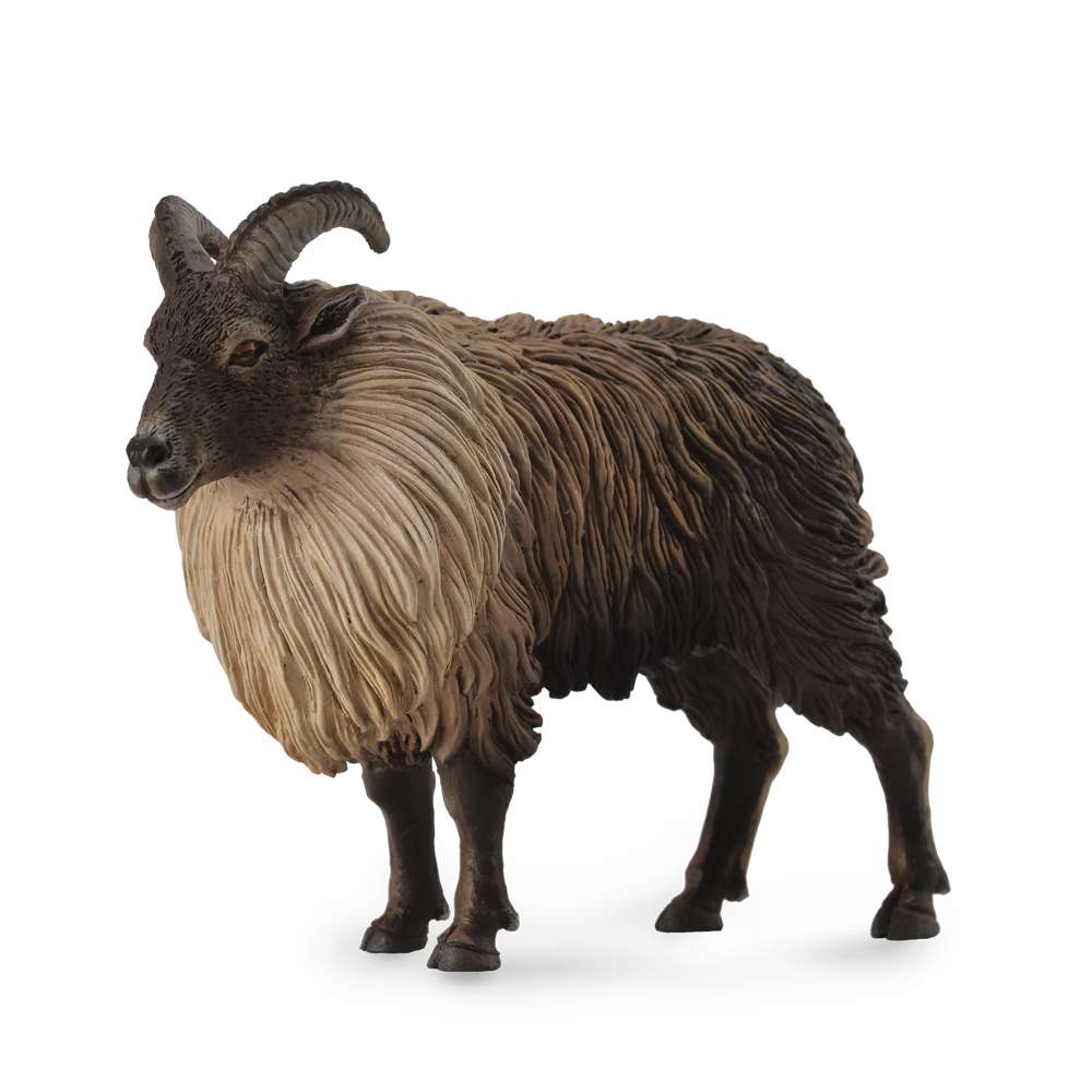 Himalayan Tahr