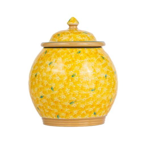 Nicholas Mosse - Cookie Jar, Yellow Lawn