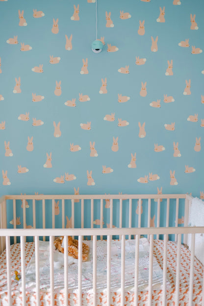 Cottontail Wallpaper