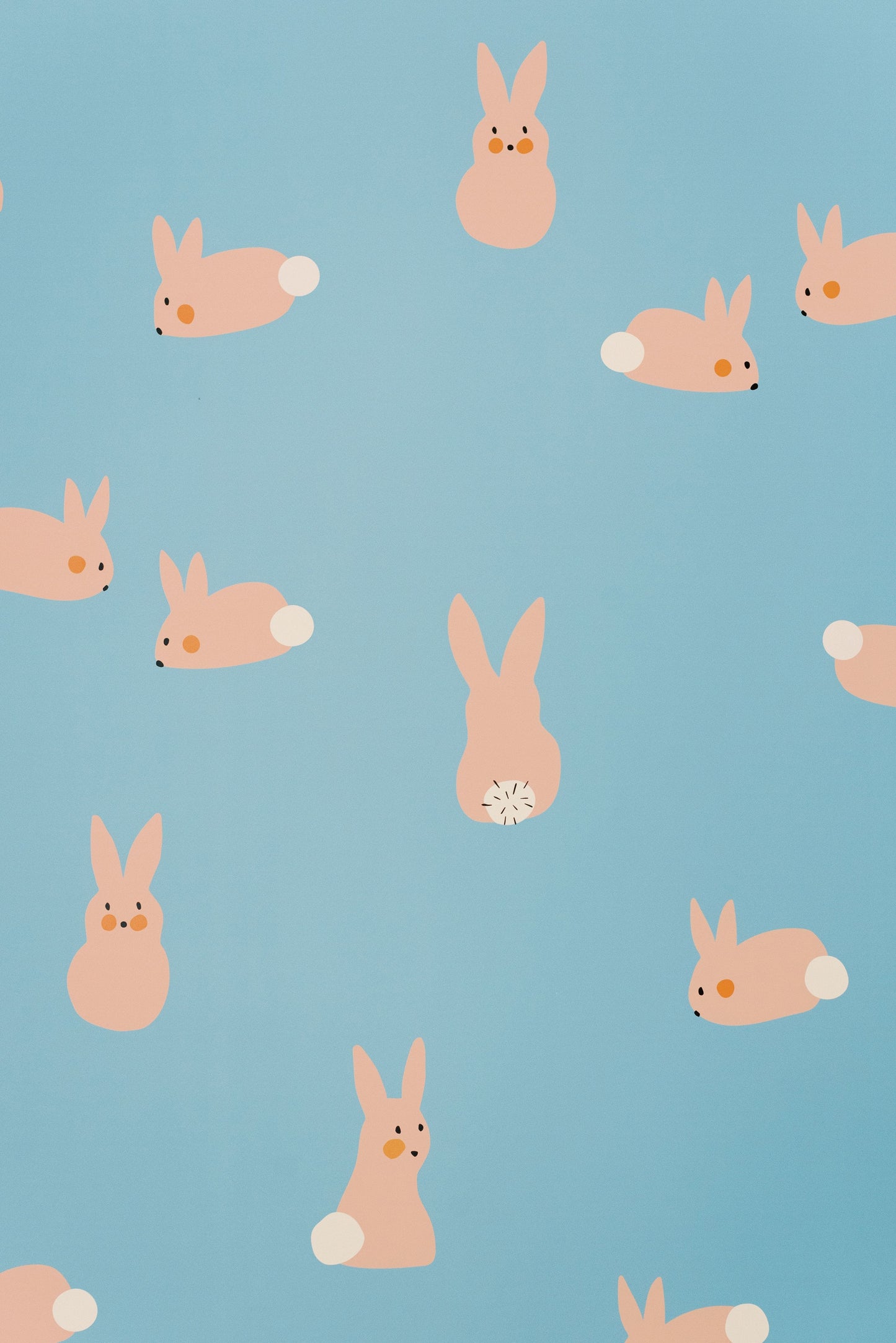 Cottontail Wallpaper