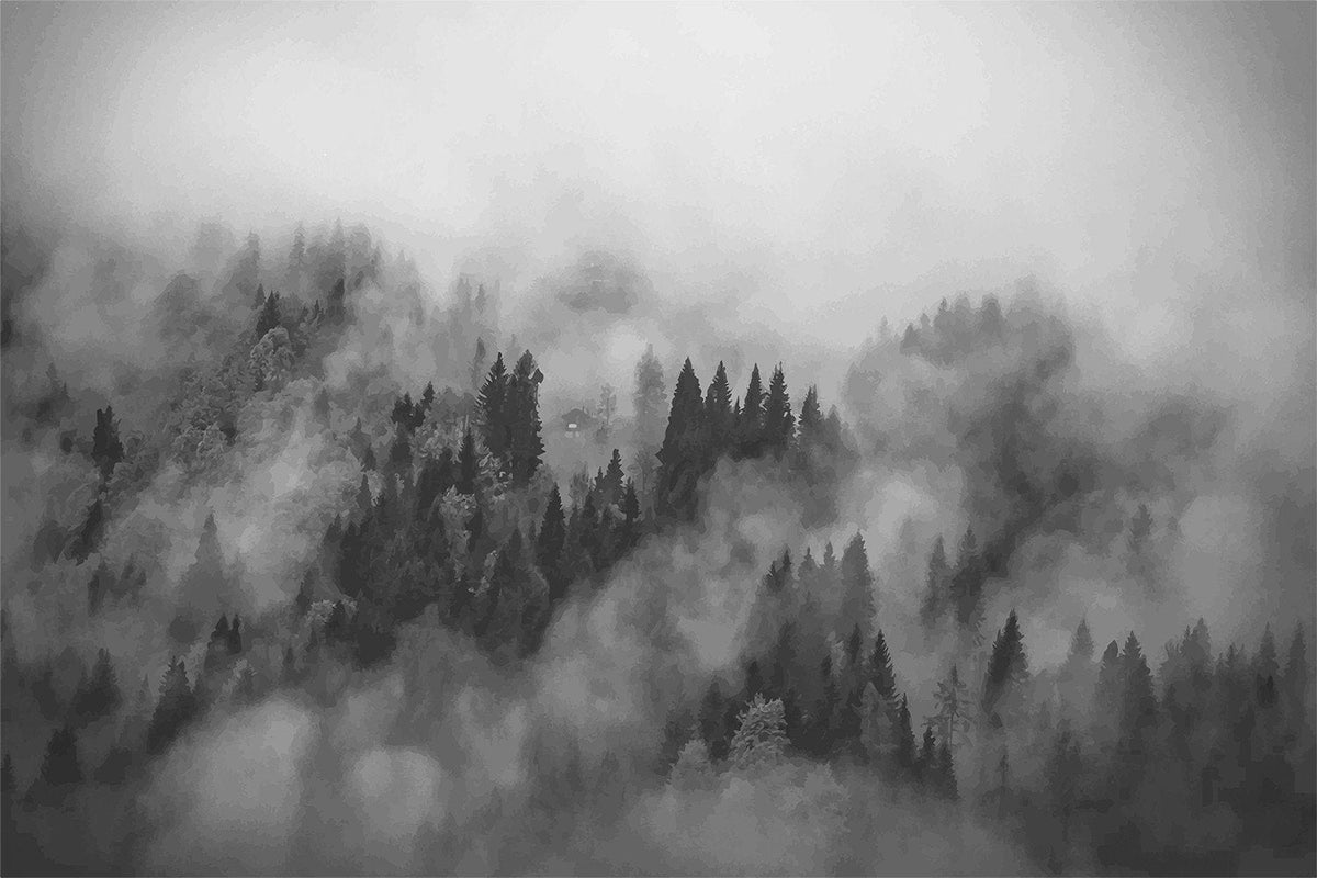 Foggy Hills Mural