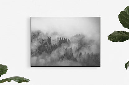 Foggy Hills Mural