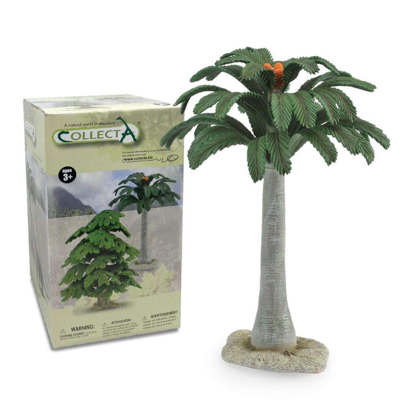 12" Cycad Tree - Tree & Plant Collection
