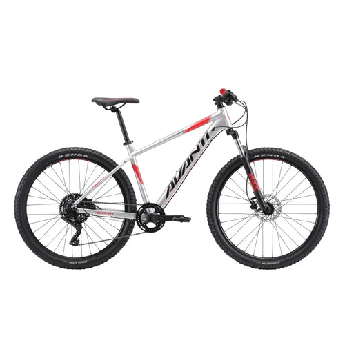 Avanti Montari MS1 Bike