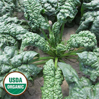 Leafy Greens Seeds