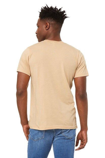 Bella + Canvas Unisex Heather CVC T-Shirt (BC3001CVC)