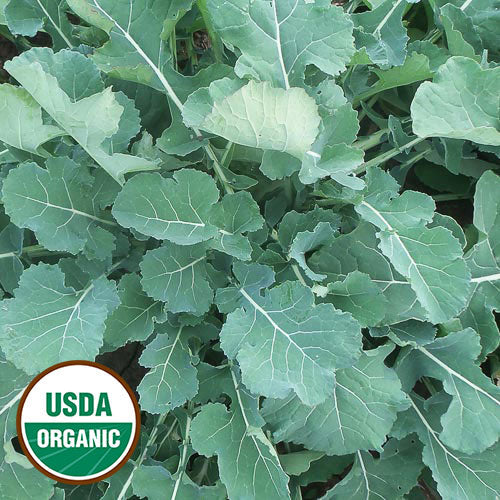 Leafy Greens Seeds